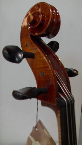 ars-229-2.jpg